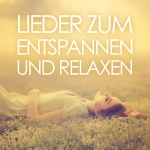 ZenToy- Paradise - Compilations - LiederzumEntspannenundRelaxen